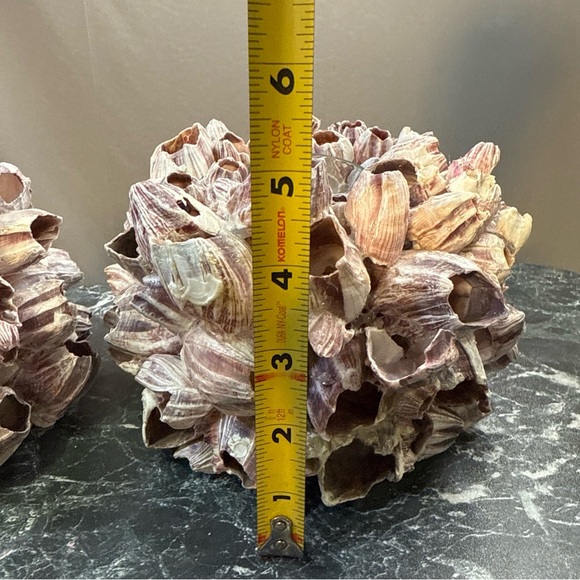 Decorative Barnacle Clusters - Purple and Cream sconces candle holders - Picture 13 of 15